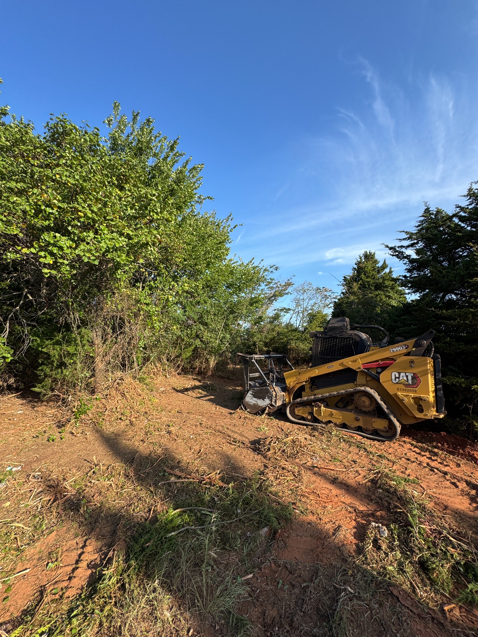 Palmer & Co. CAT compact track loader clearing an overgrown property edge